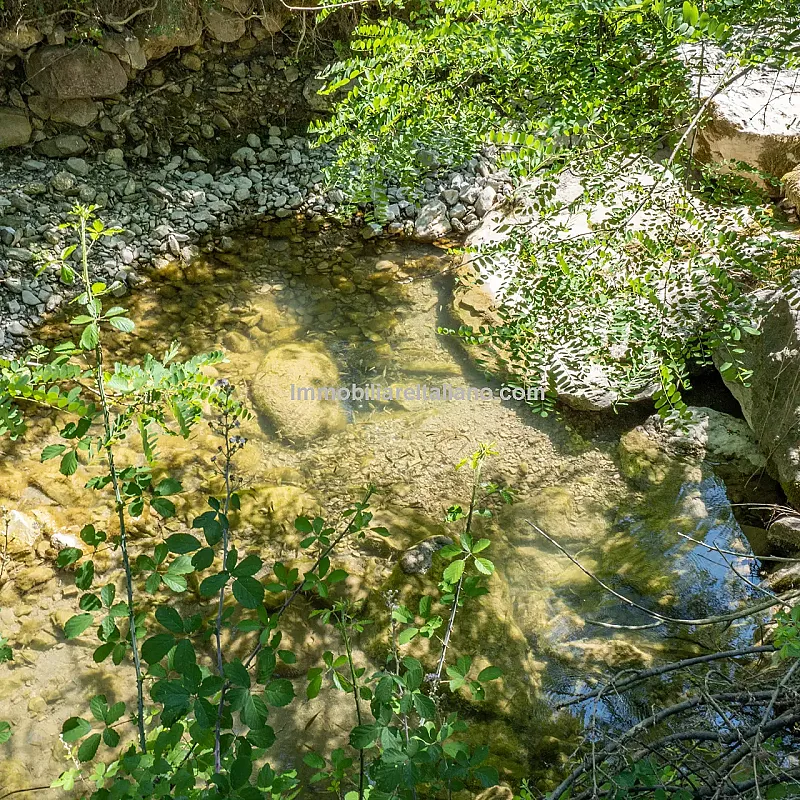 View image 10