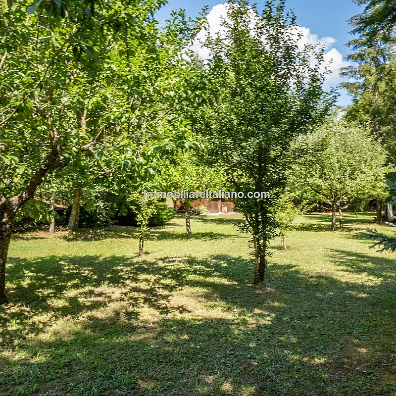 View image 12