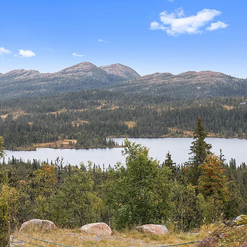 View image 35