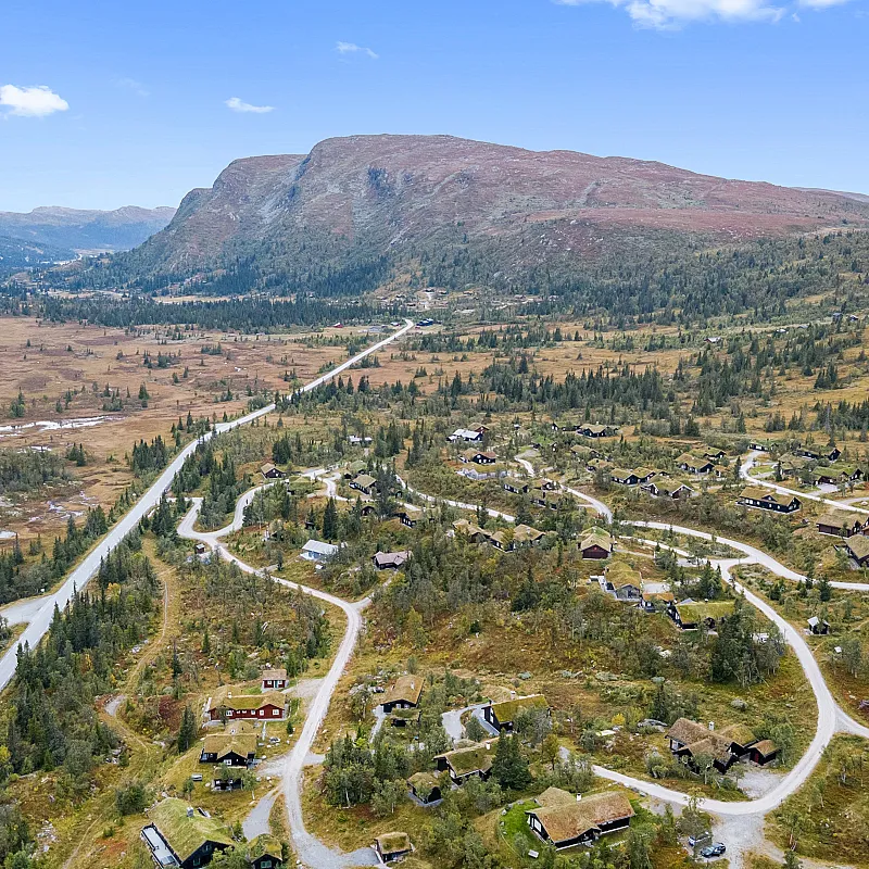 View image 50