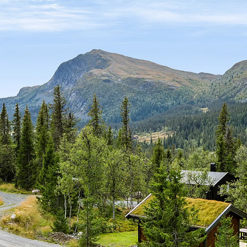 View image 54