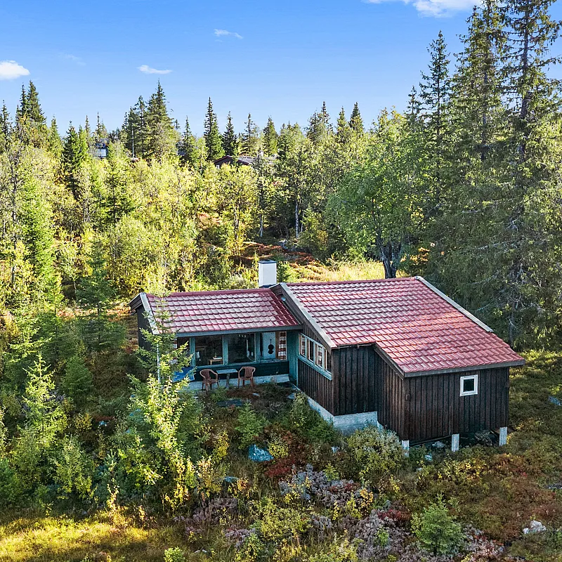 1960s Furnished Cabin with Expansive Lot in Flå, Norway