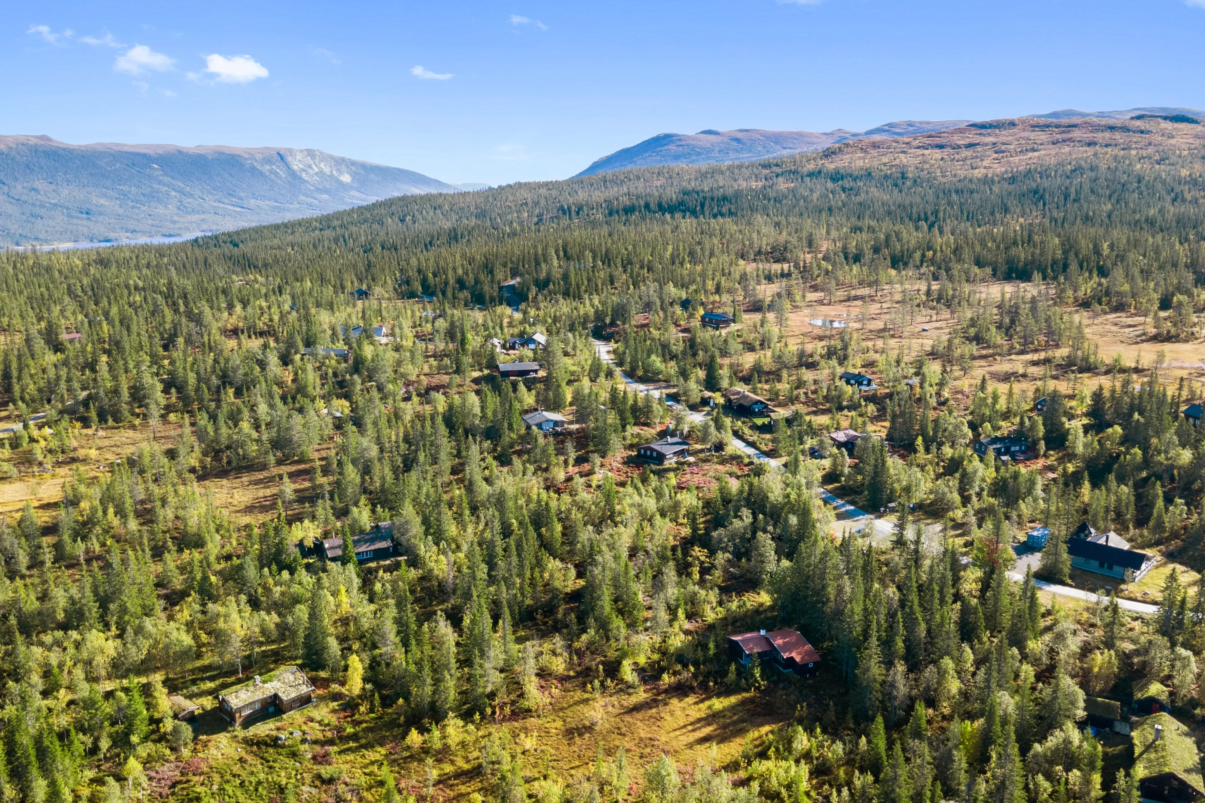 1960s Furnished Cabin with Expansive Lot in Flå, Norway - Image 2