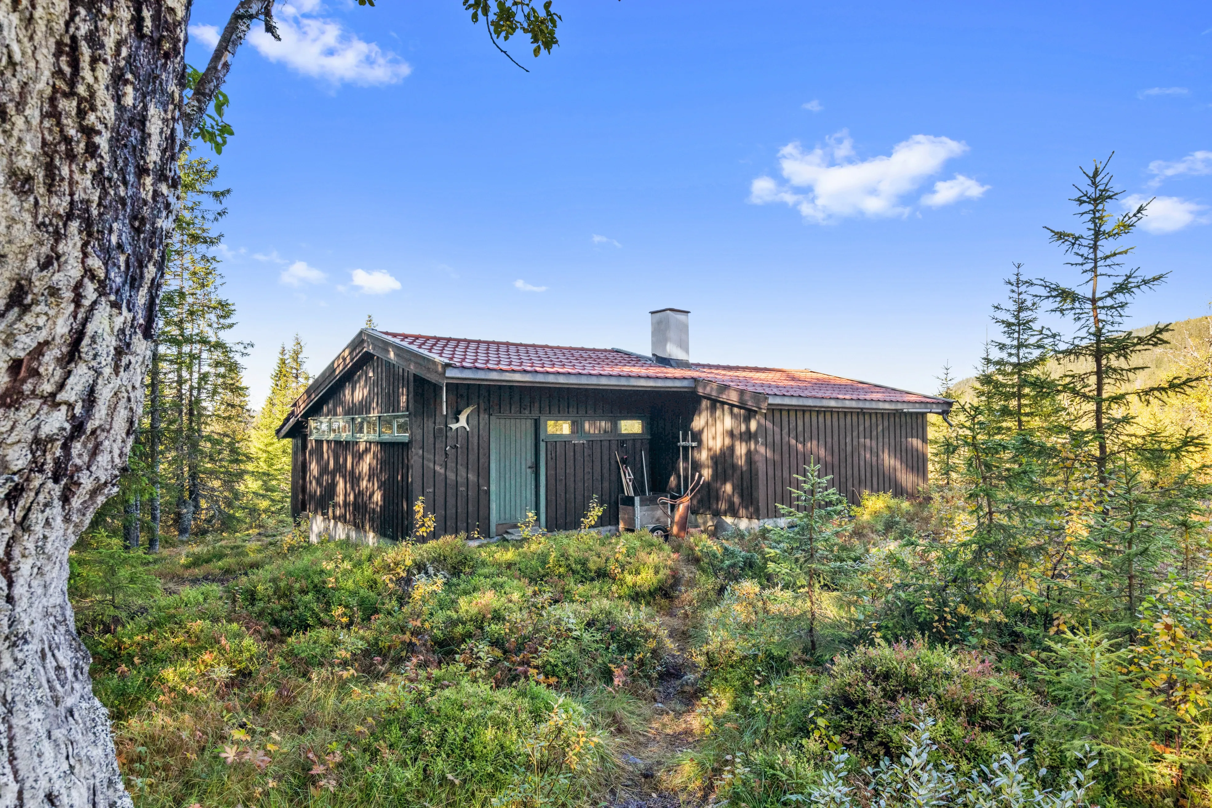 1960s Furnished Cabin with Expansive Lot in Flå, Norway - Image 4