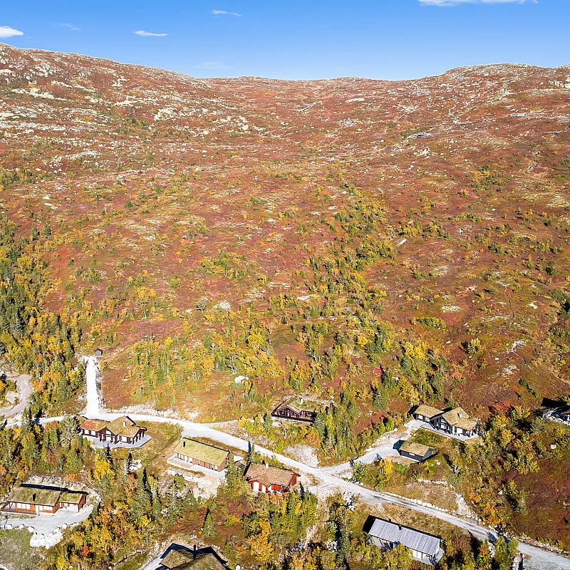 View image 50
