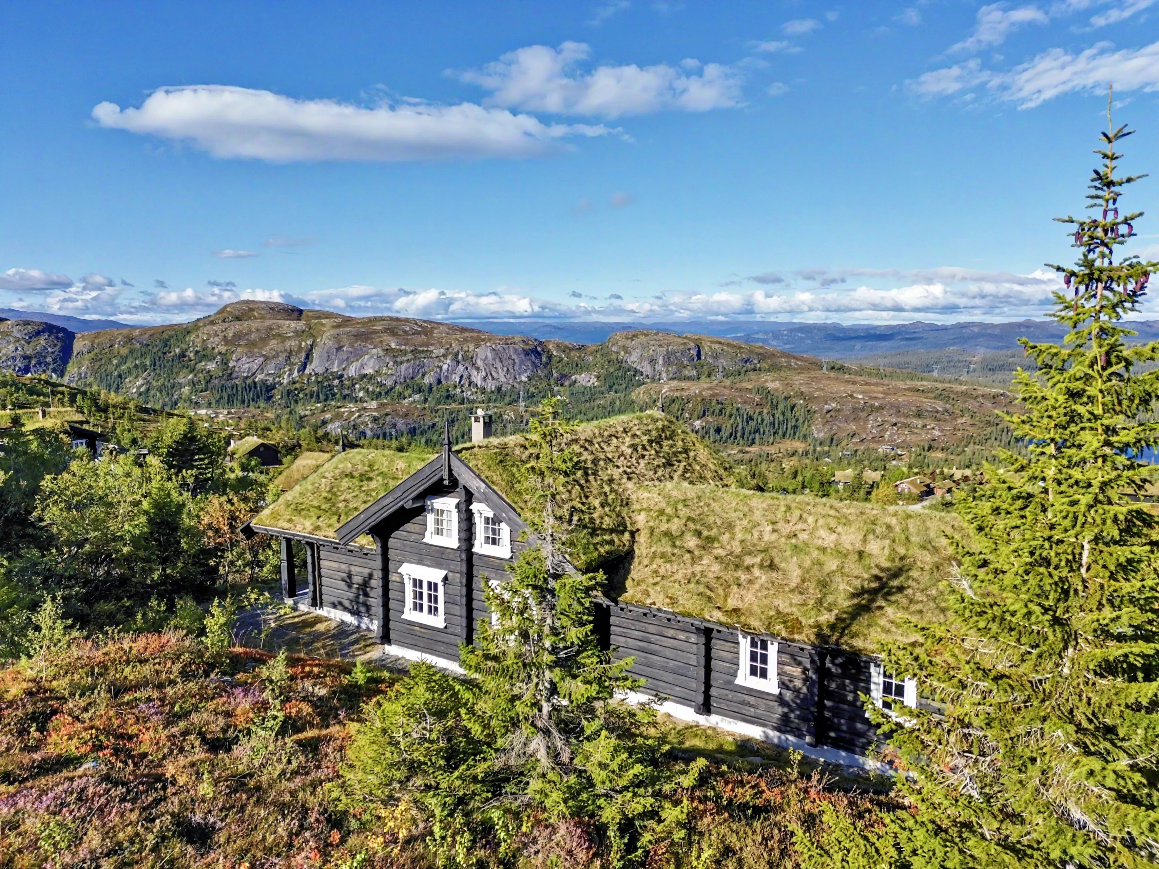 Contemporary 4-Bedroom Cabin with Mountain Views in Flå, Norway - View image 61 of 62