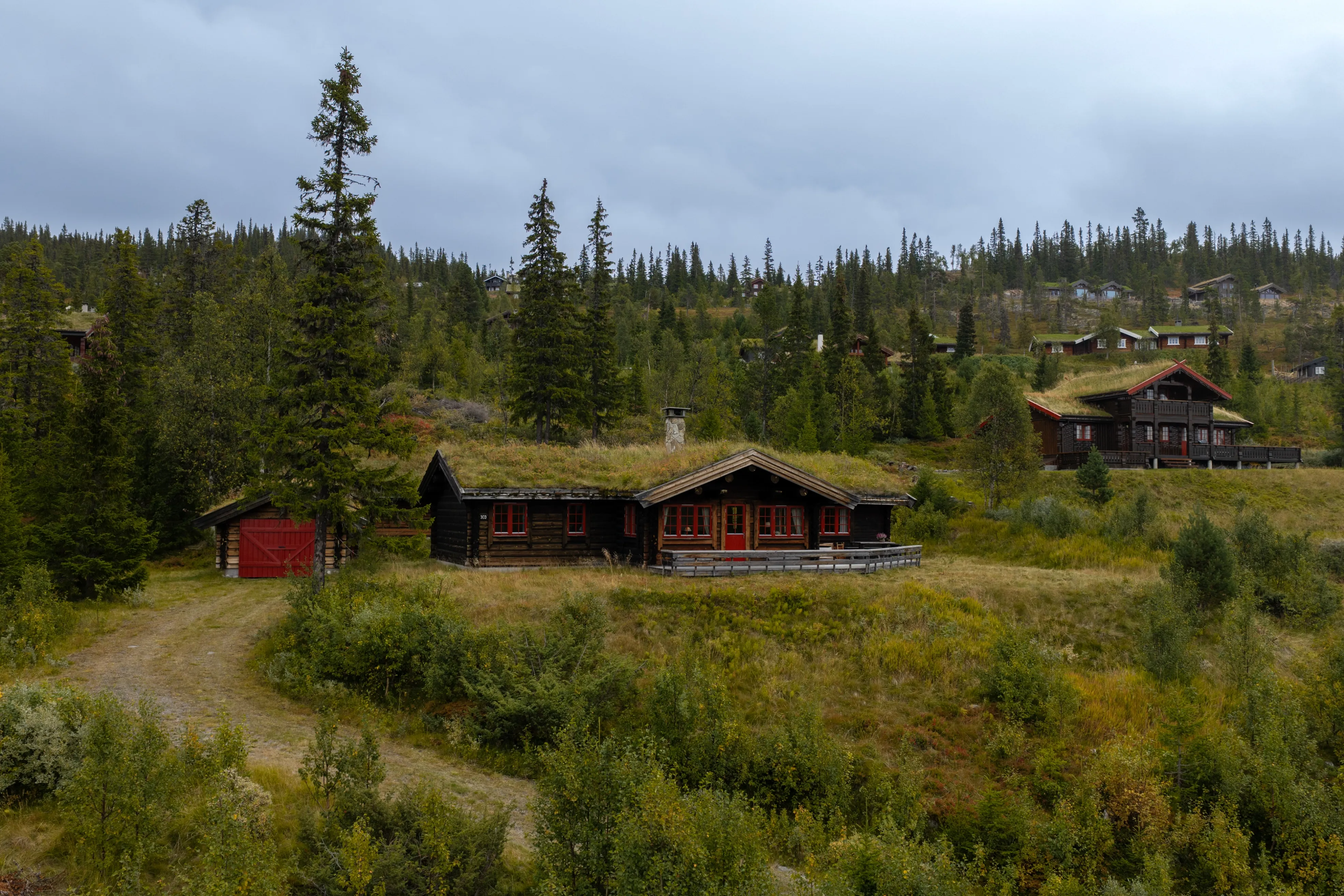 4-Bedroom Log Cabin with Fireplace and Terrace in Scenic Nesbyen, Norway - Image 3