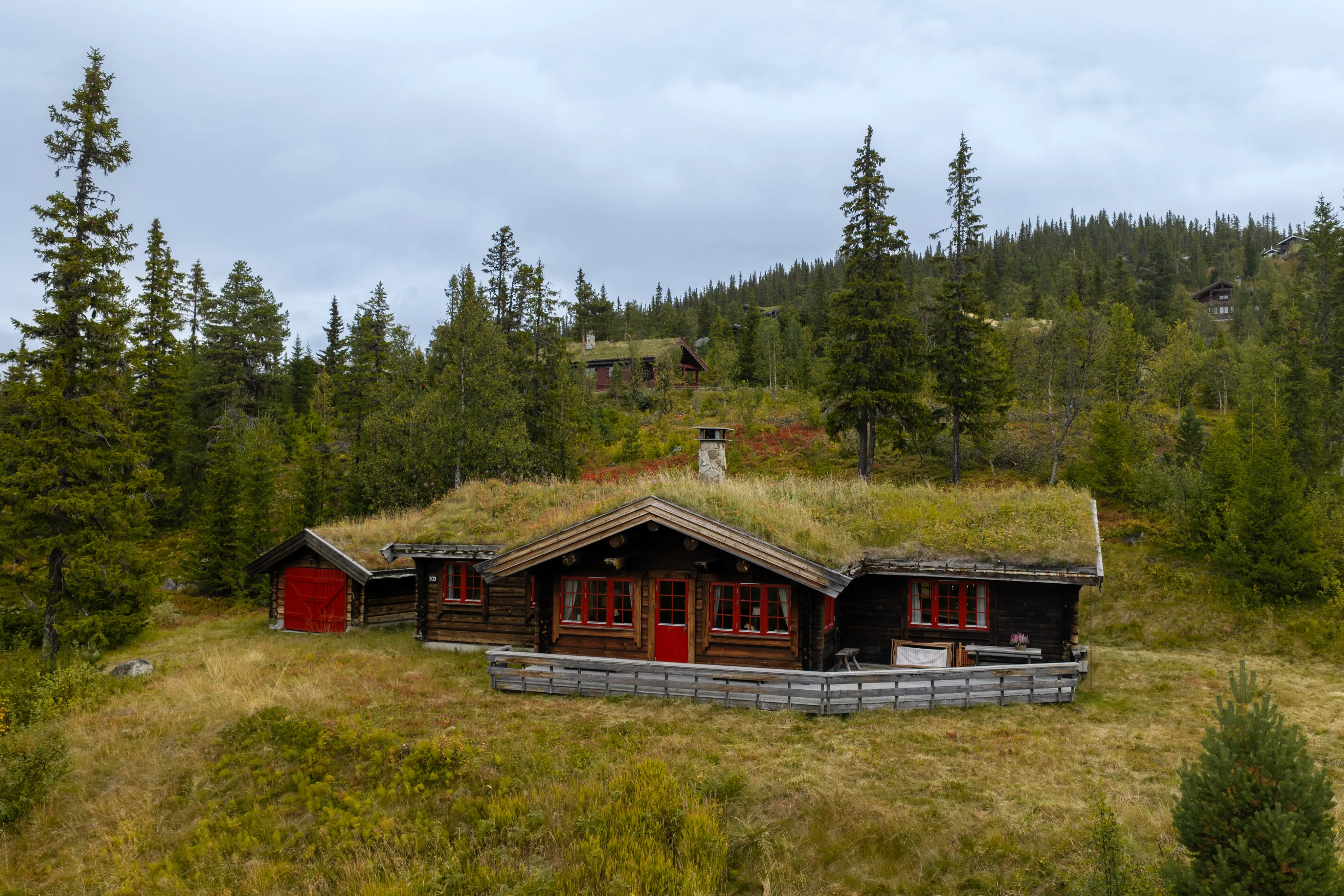 4-Bedroom Log Cabin with Fireplace and Terrace in Scenic Nesbyen, Norway - Image 2