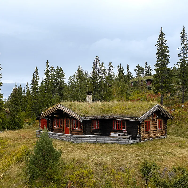 4-Bedroom Log Cabin with Fireplace and Terrace in Scenic Nesbyen, Norway
