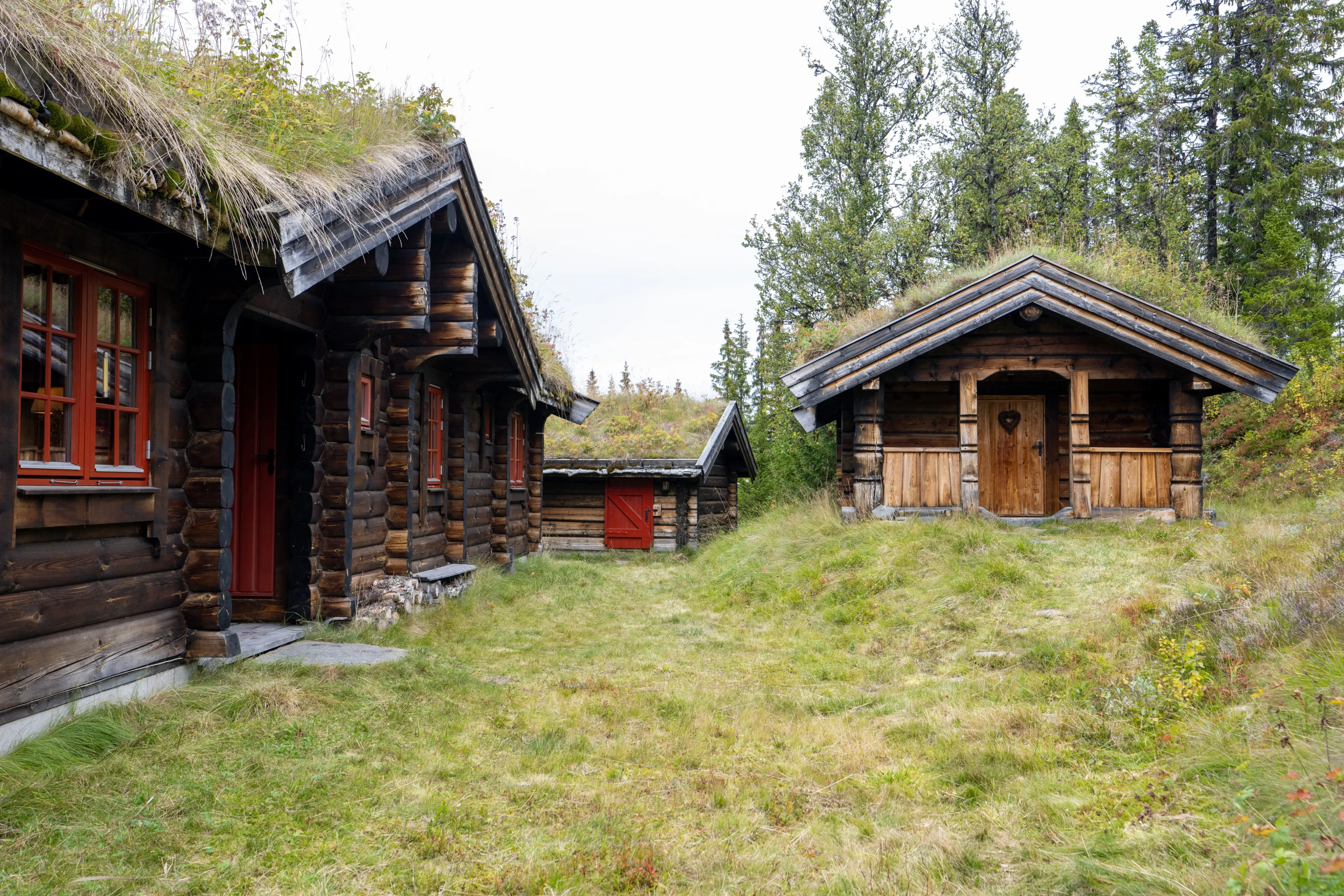 4-Bedroom Log Cabin with Fireplace and Terrace in Scenic Nesbyen, Norway - Image 4