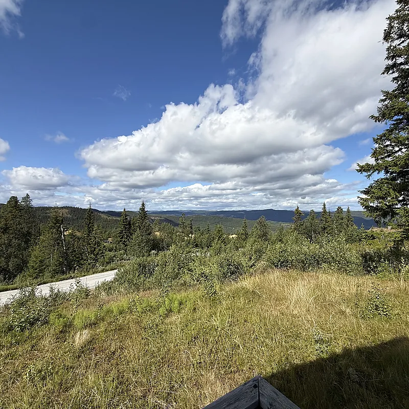View image 40