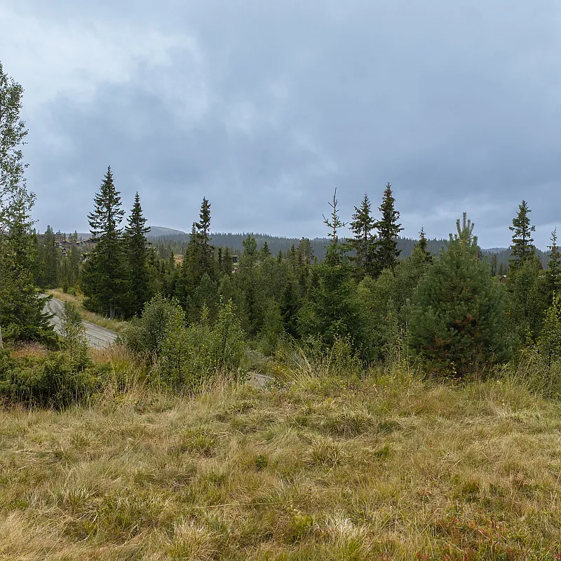 View image 41