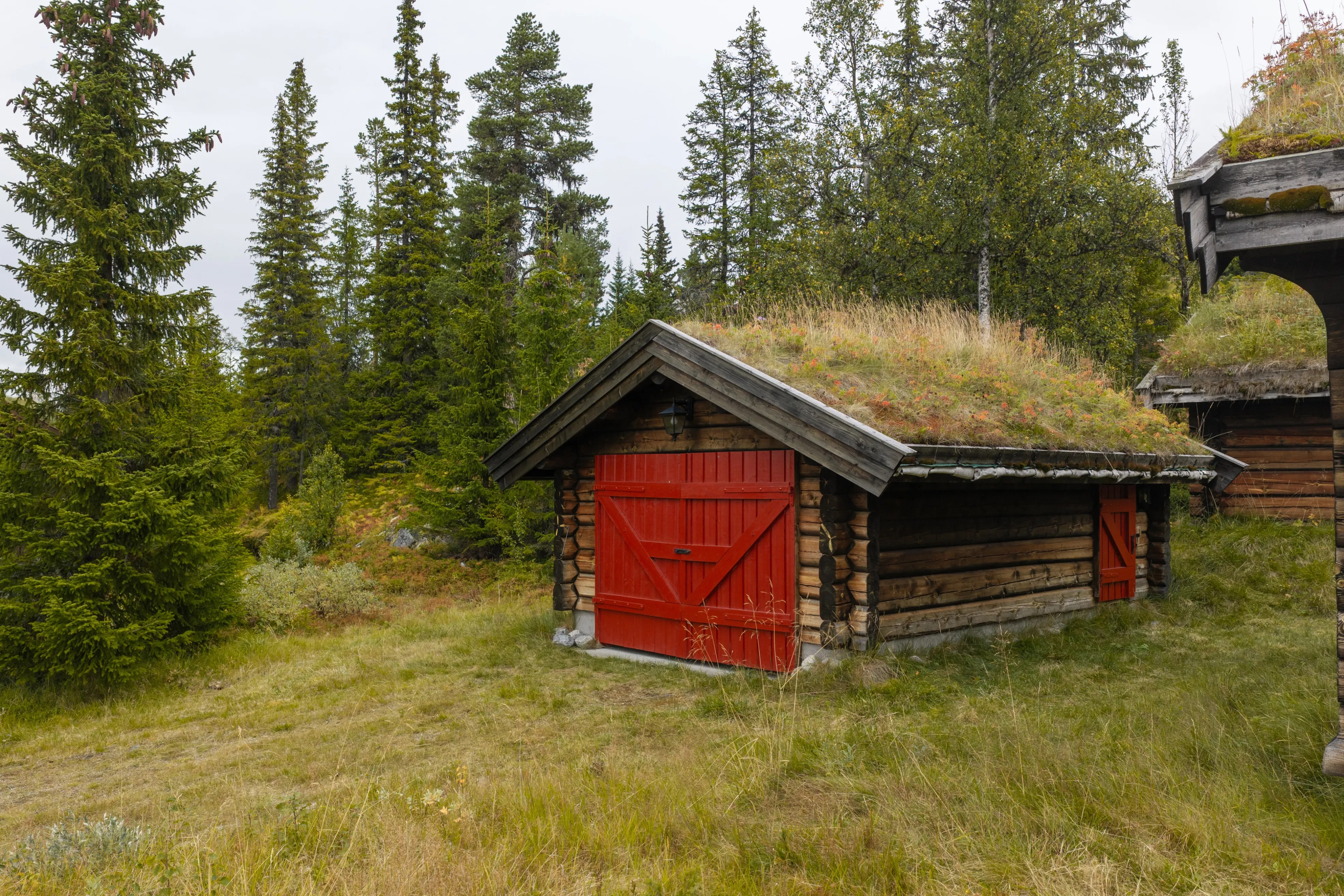 4-Bedroom Log Cabin with Fireplace and Terrace in Scenic Nesbyen, Norway - View image 45 of 46