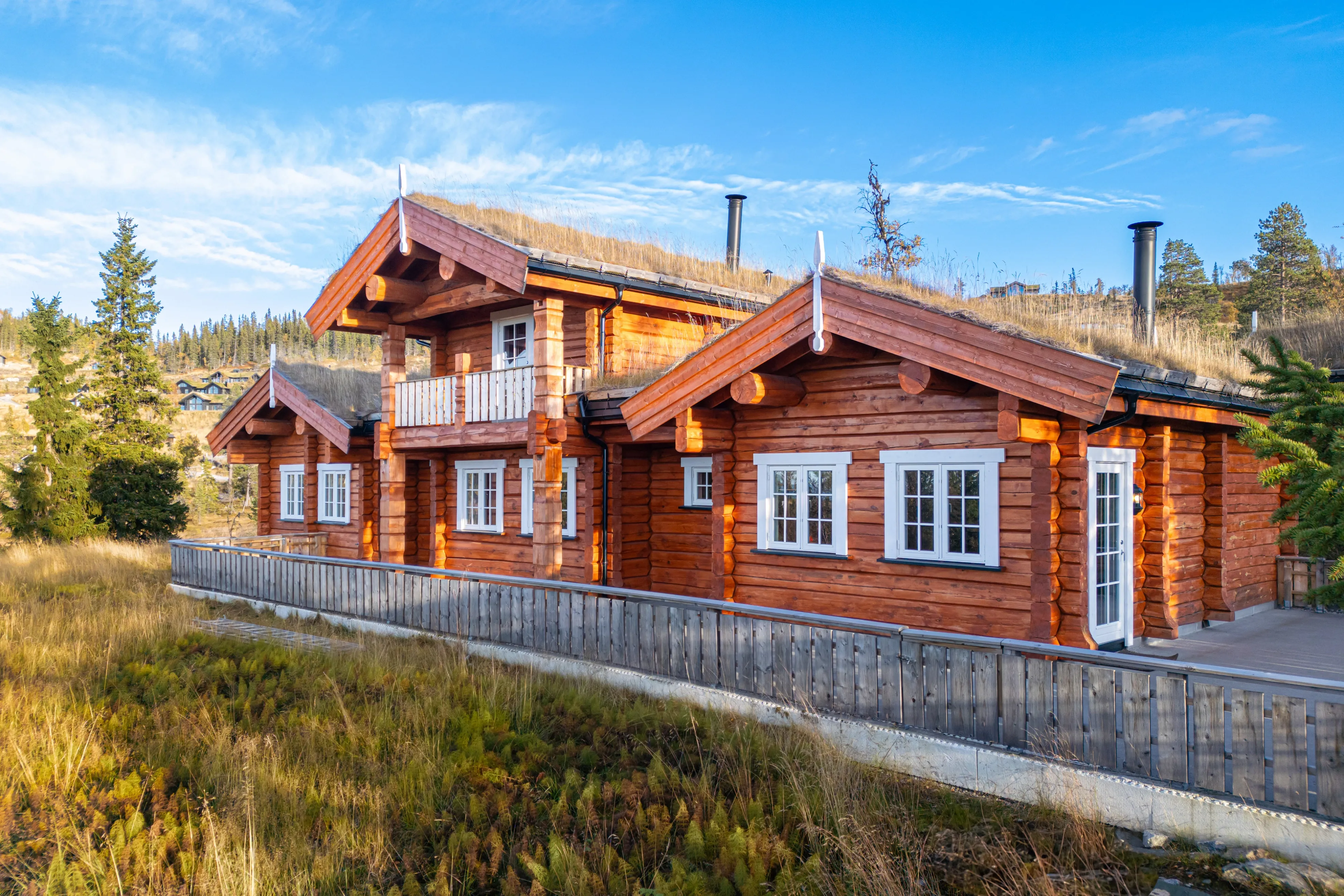 Modern 5-Bedroom Cabin with Expansive Garden and Terrace in Nesbyen - View image 38 of 45