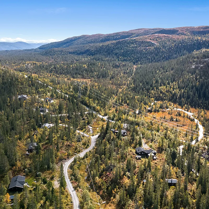 View image 3