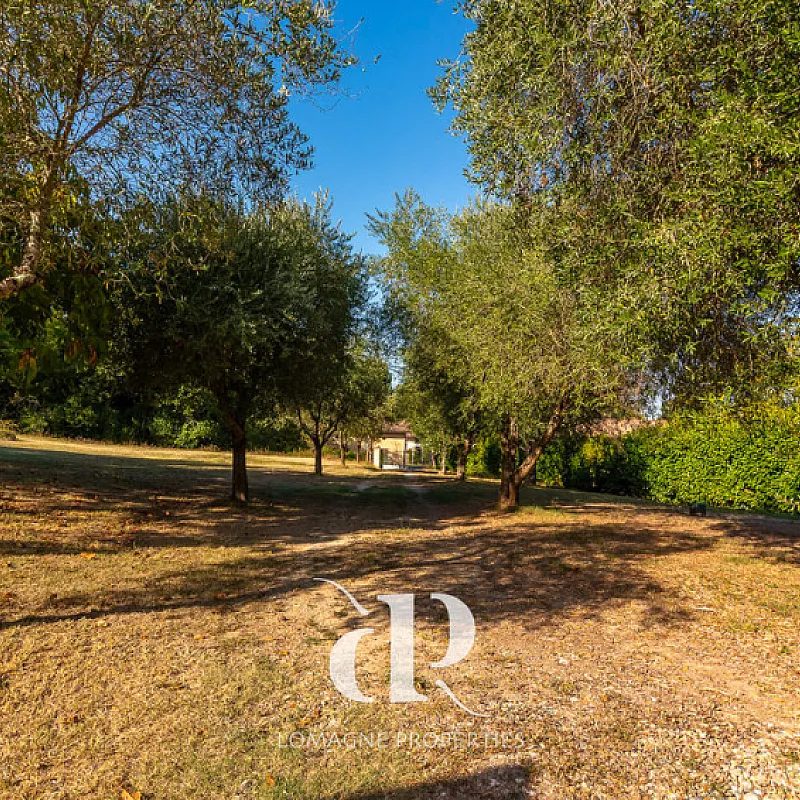 View image 20