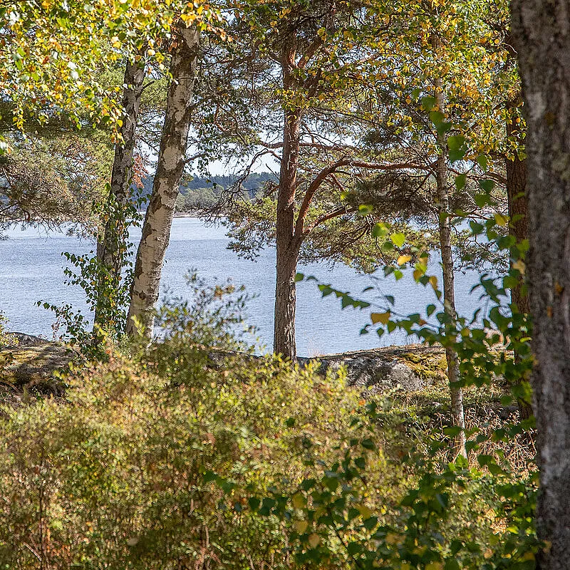 View image 17