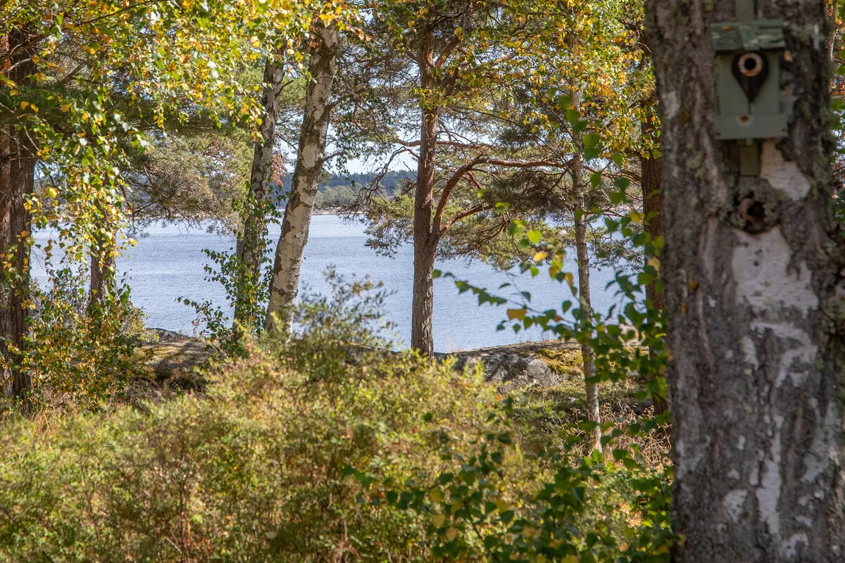 1960s Swedish Country House with Expansive Garden on Möja Island - View image 17 of 29