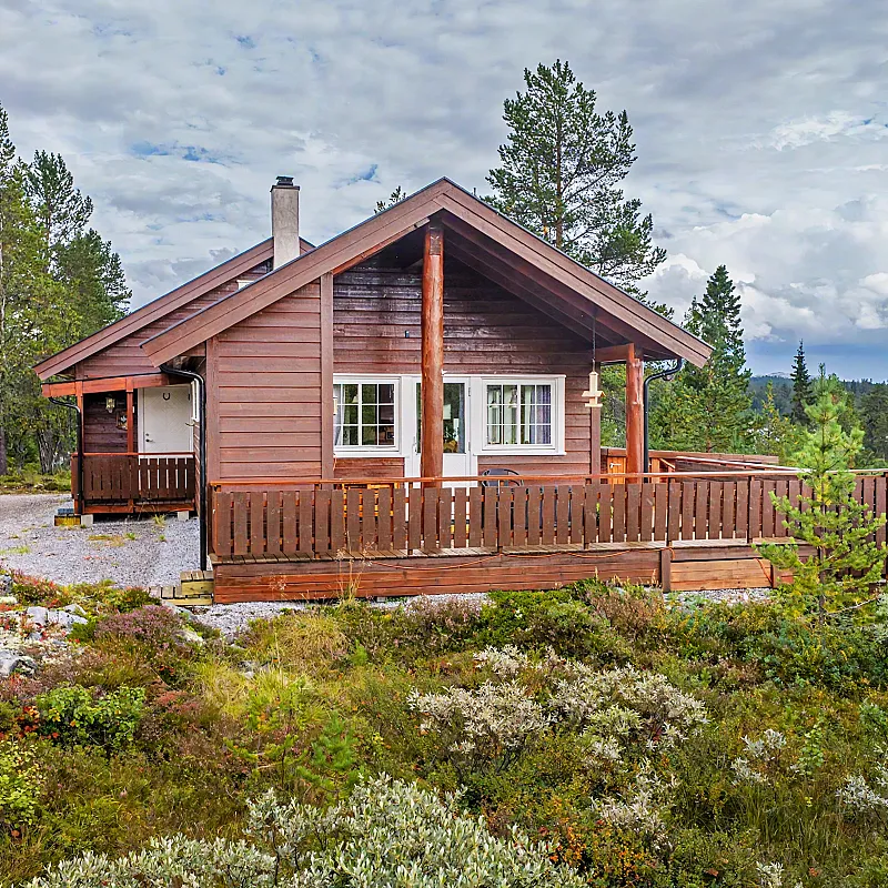 View image 5
