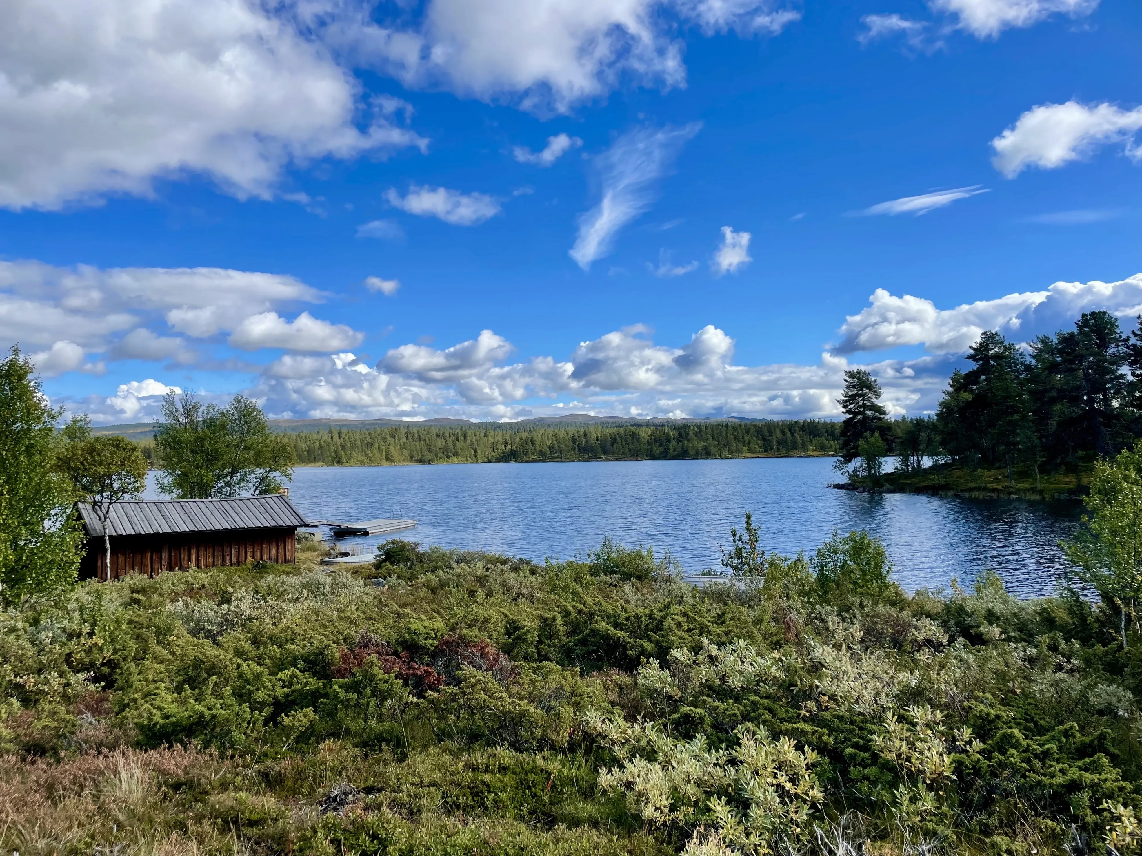 Modern 3-Bedroom Norwegian Cabin with Expansive Terrace in Nesbyen - View image 7 of 31