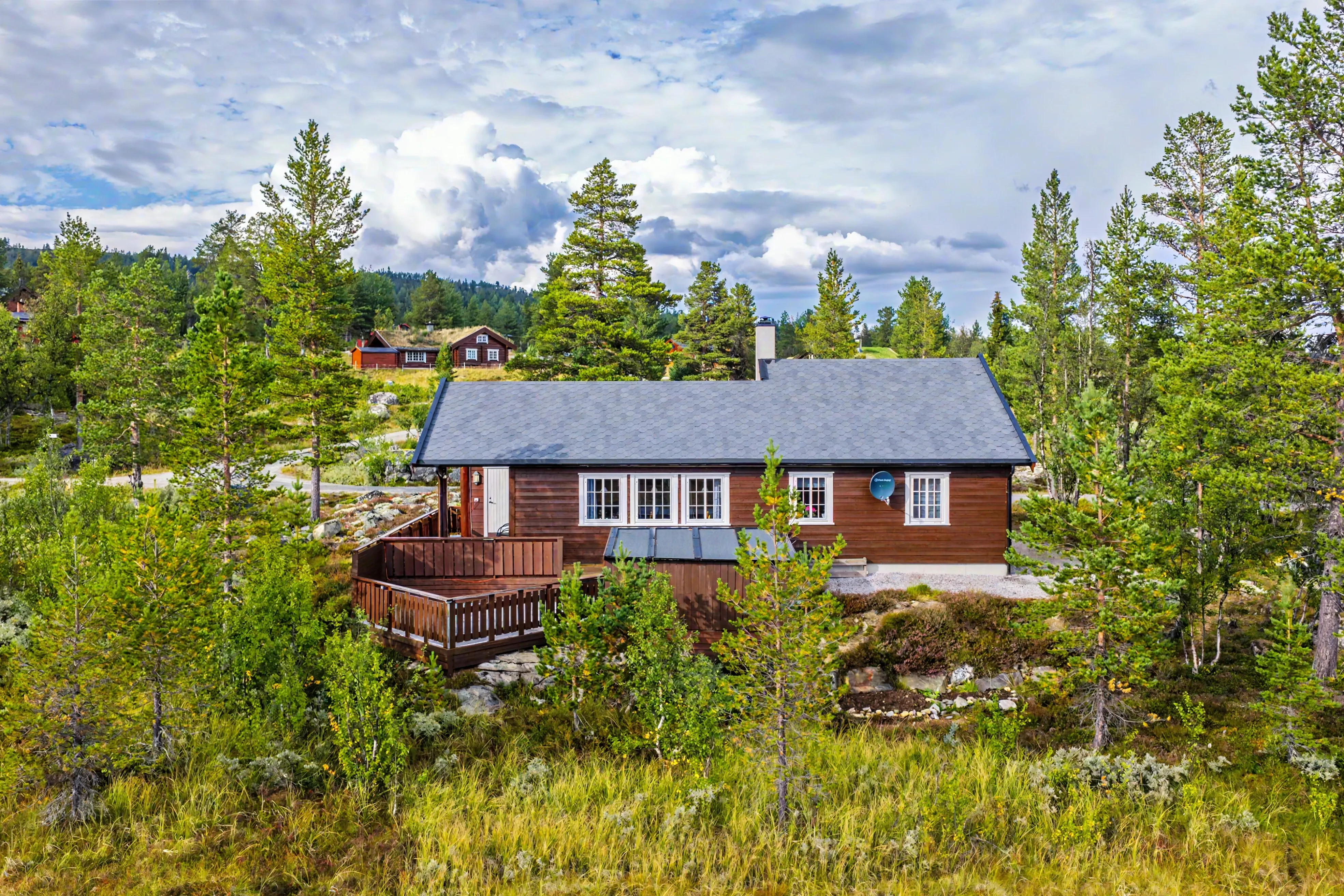 Modern 3-Bedroom Norwegian Cabin with Expansive Terrace in Nesbyen - View image 31 of 31
