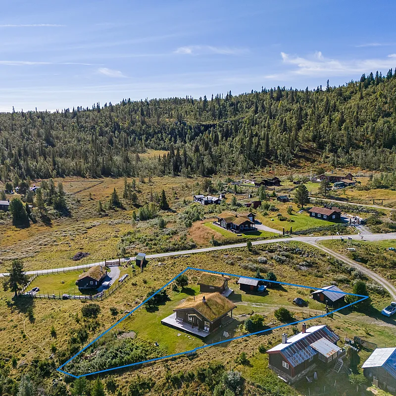View image 5