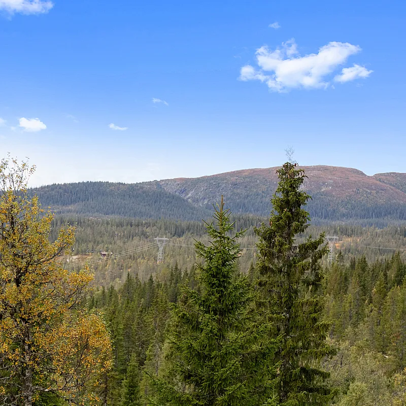 View image 38