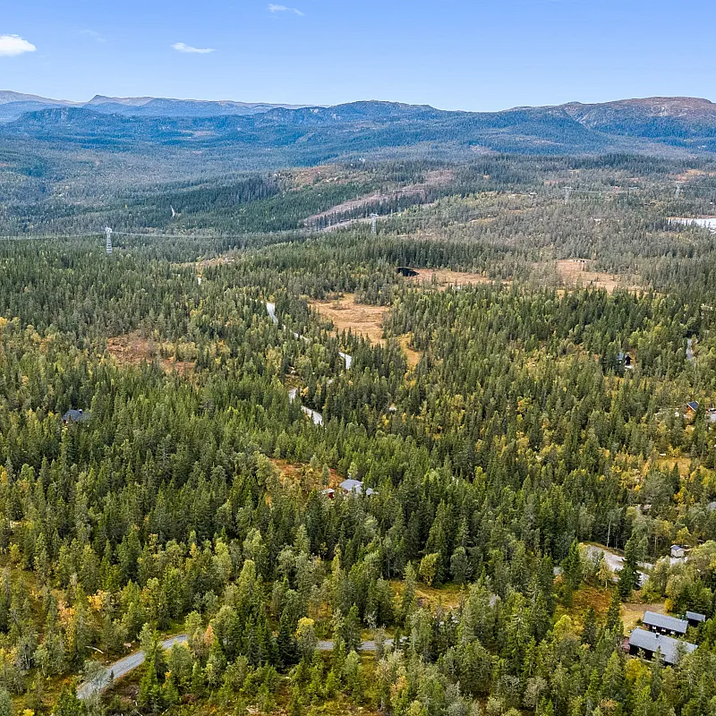 View image 43