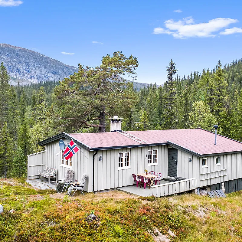 1960s Three-Bedroom Cabin with Terrace in Eggedal, Norway