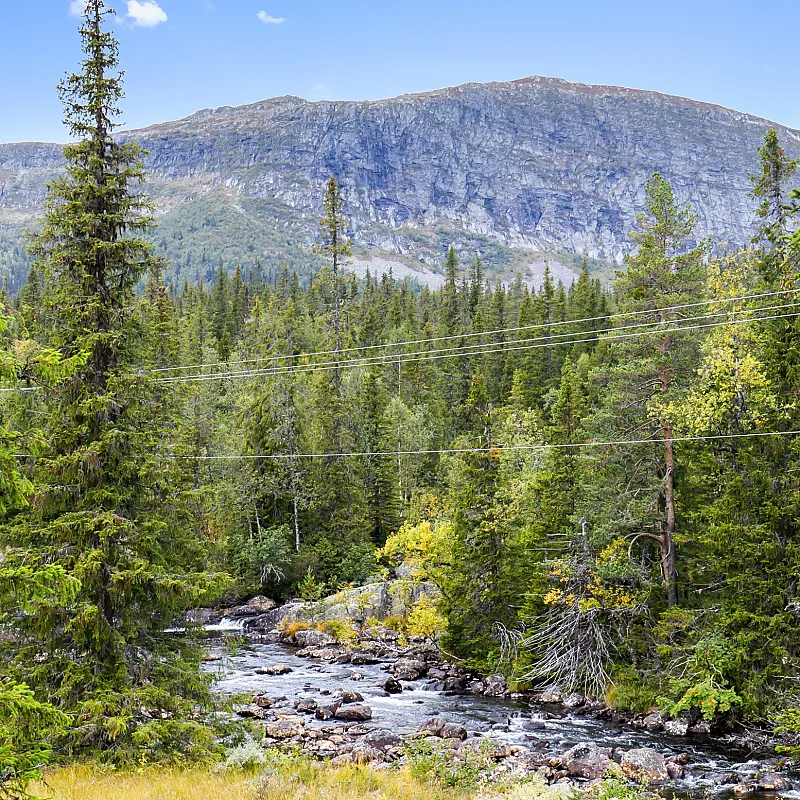 View image 40