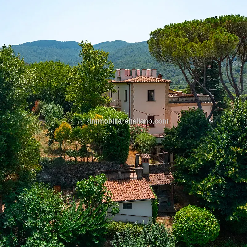 View image 9