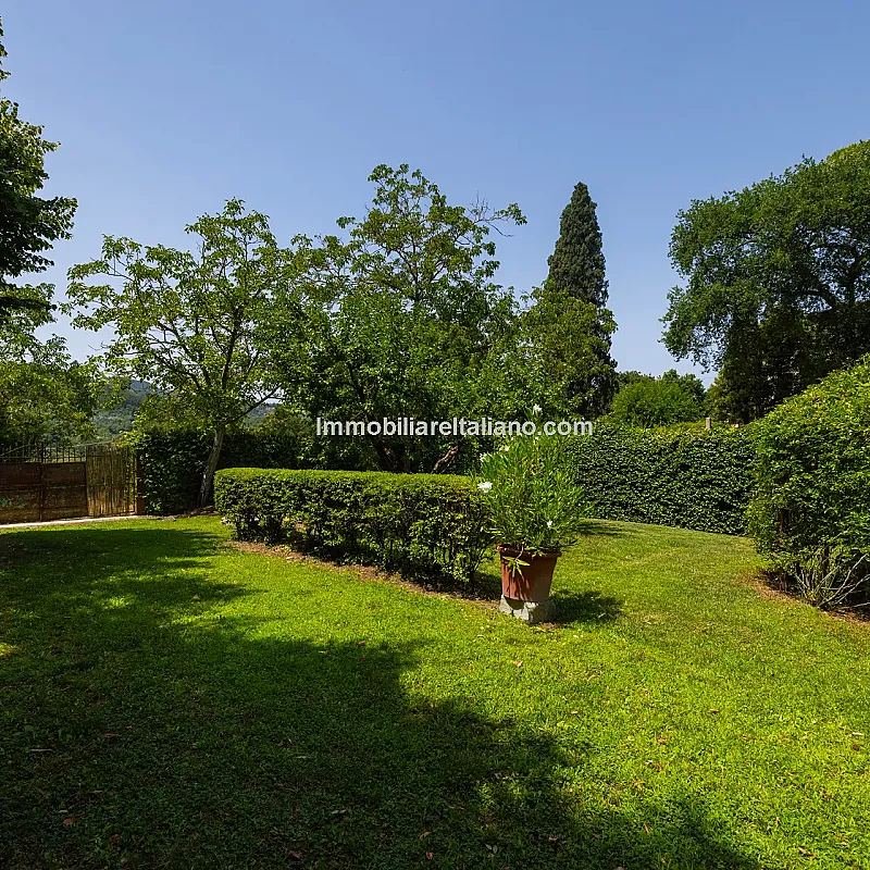 View image 17