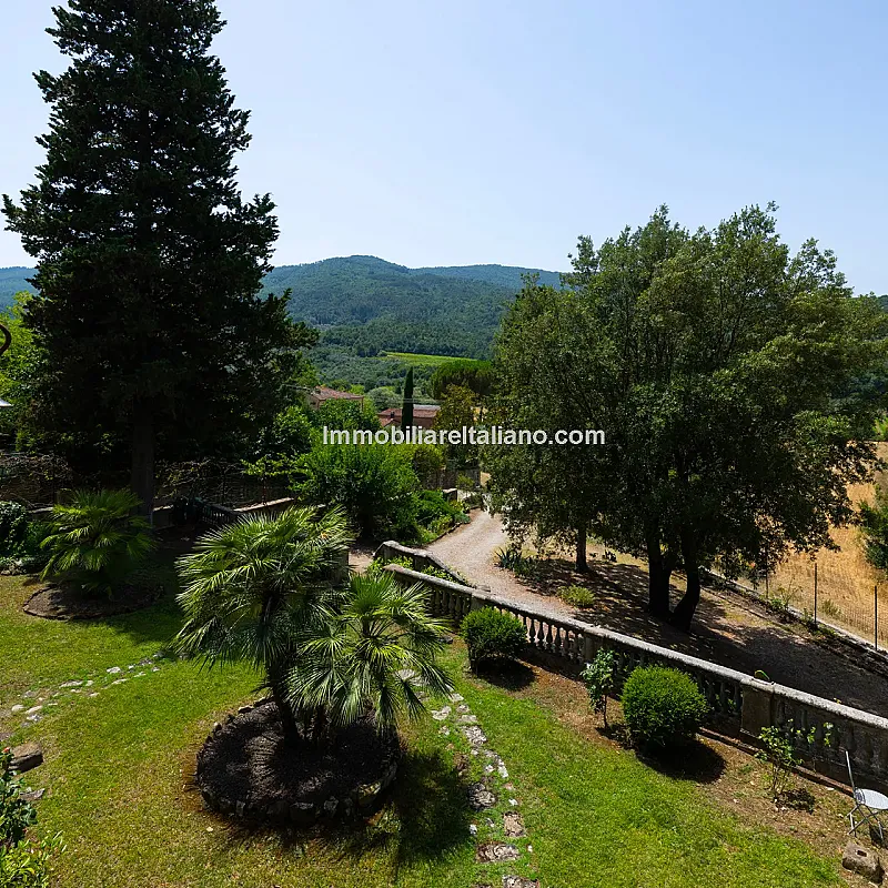 View image 41