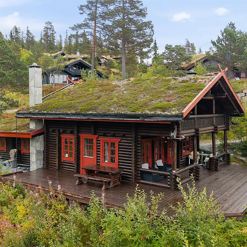 View image 3
