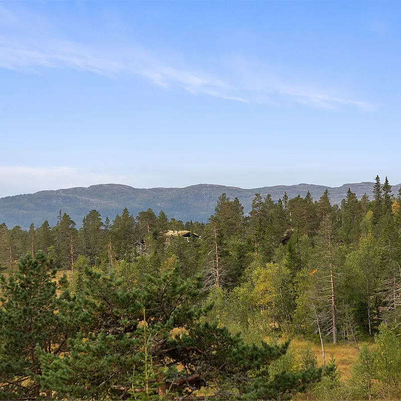 View image 34