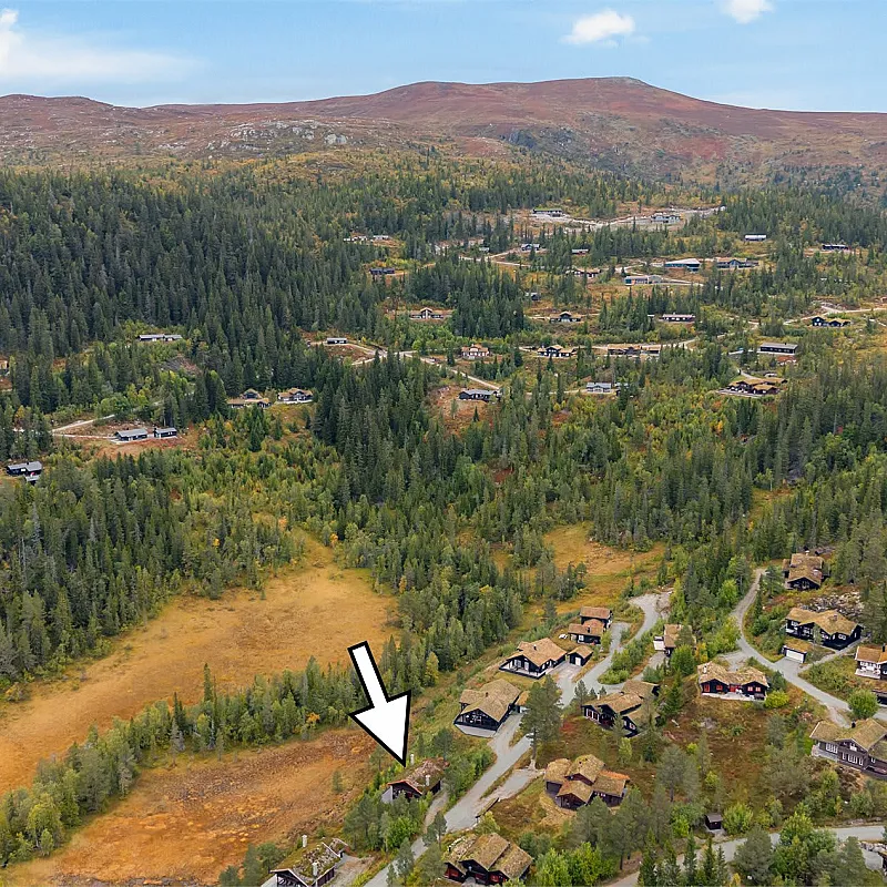 View image 36