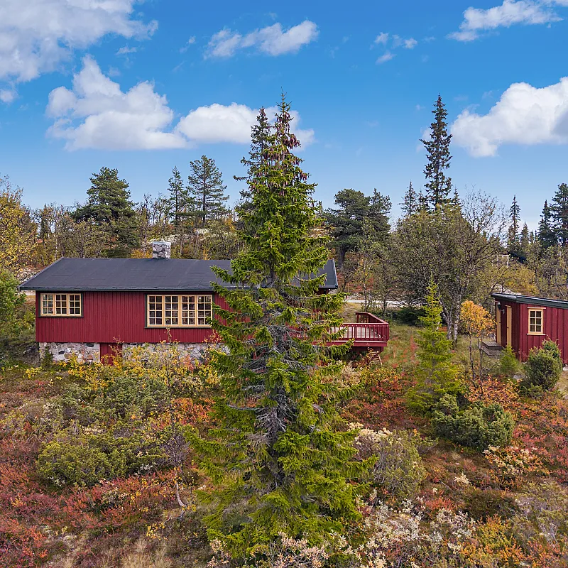 View image 9