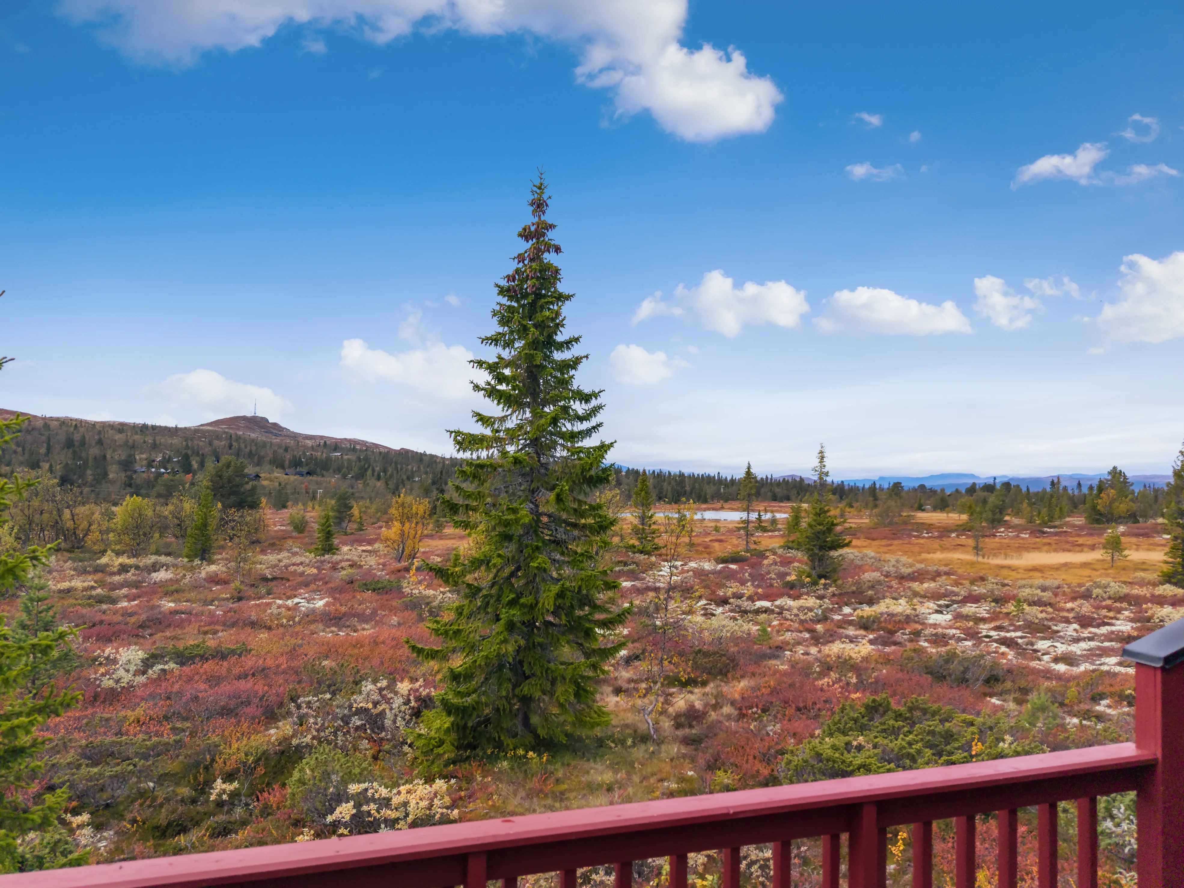 Rustic 1970s Cabin in Ål with Wood Heating on Expansive Grounds - View image 38 of 57