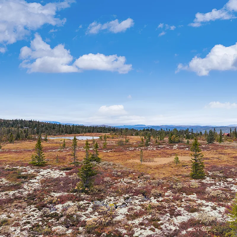 View image 40