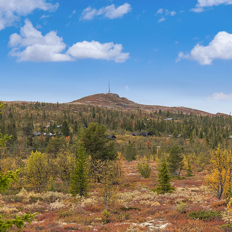 View image 50