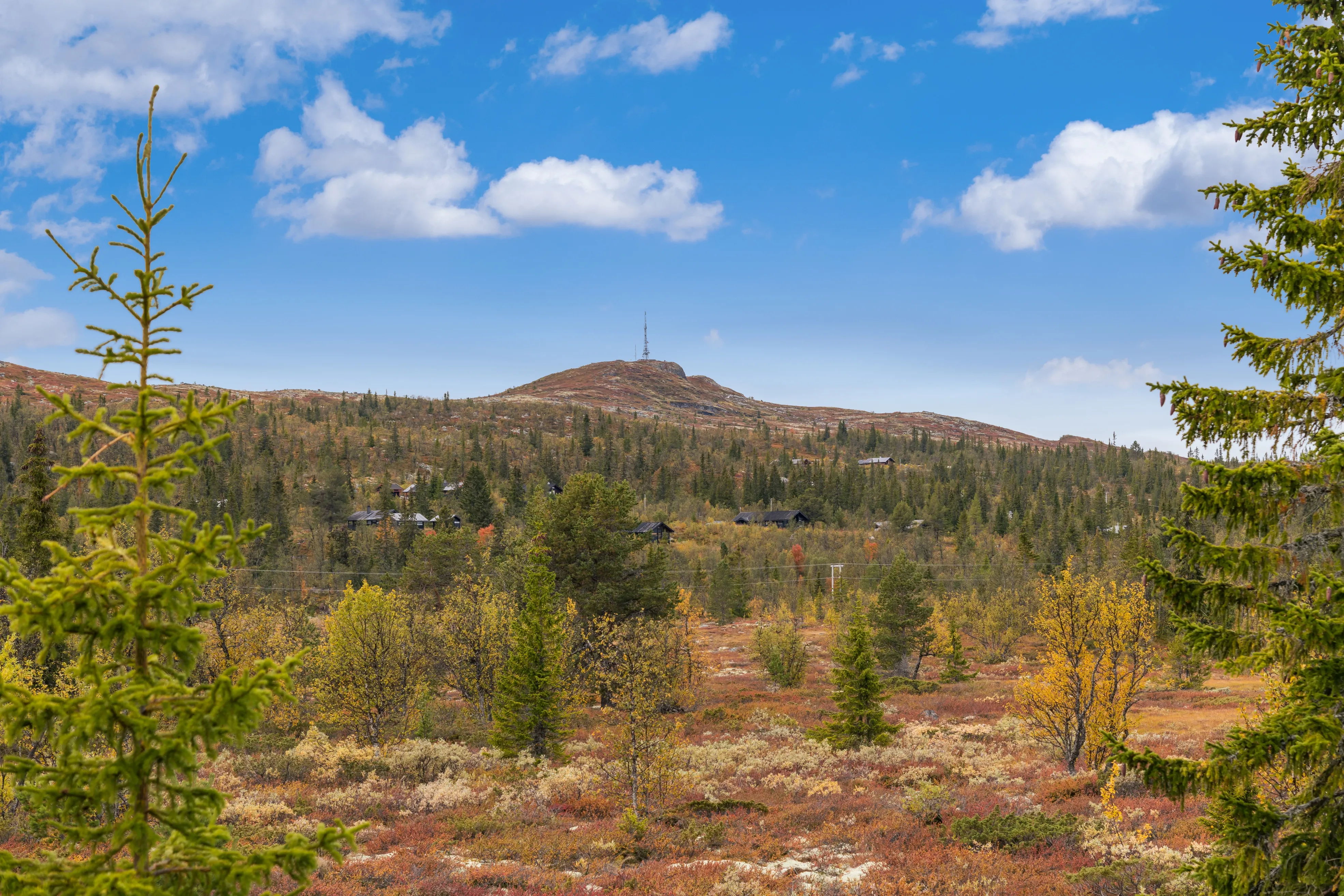 Rustic 1970s Cabin in Ål with Wood Heating on Expansive Grounds - View image 50 of 57