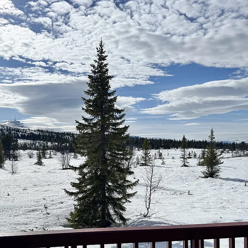 View image 57
