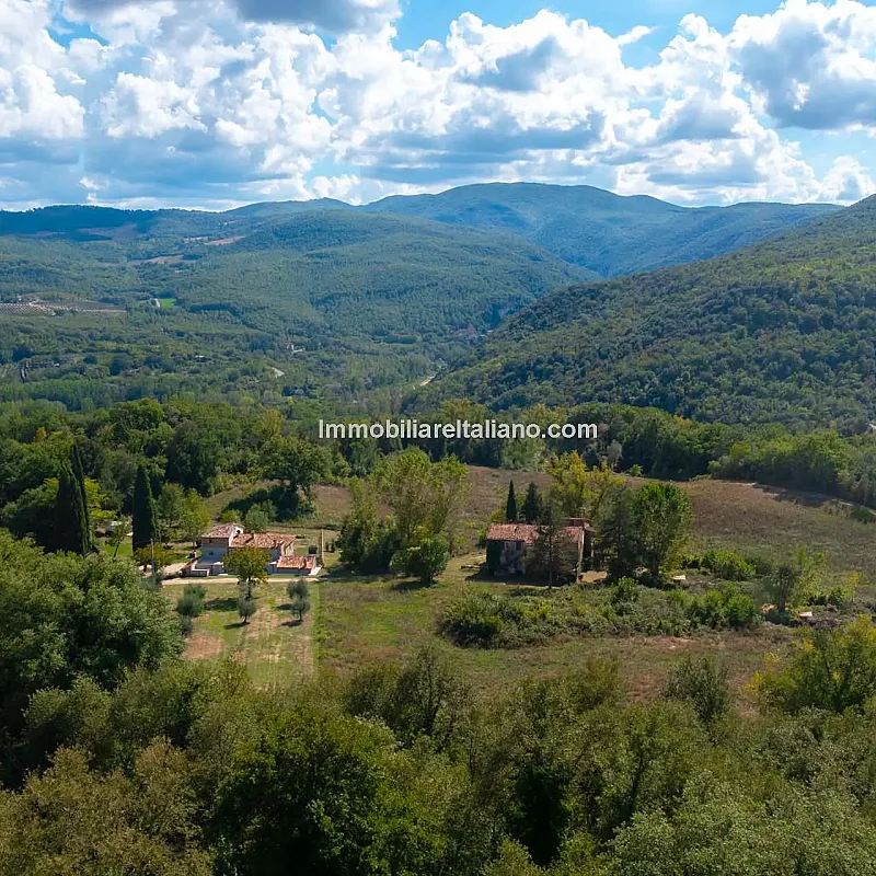 View image 4