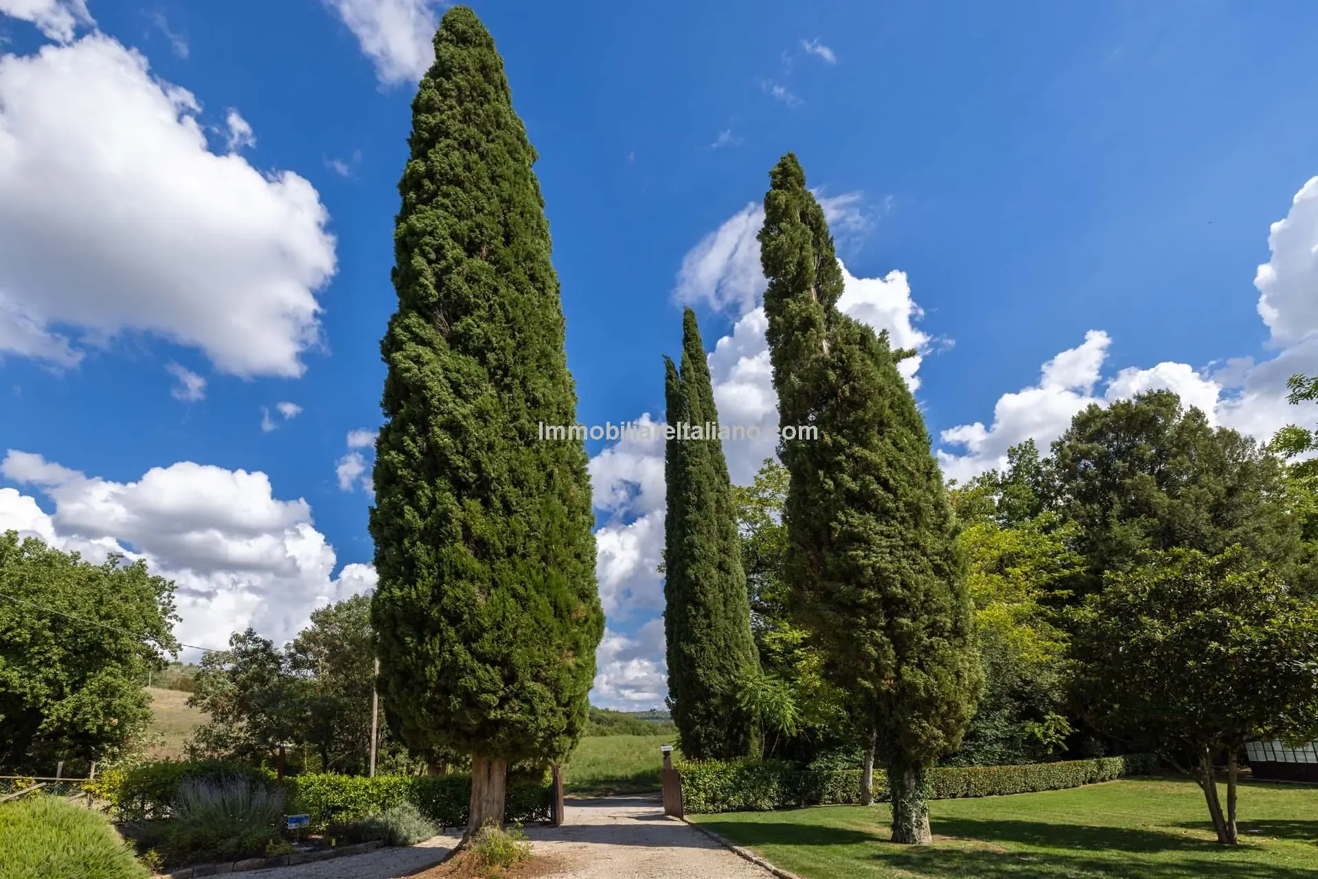 Modern 6-Bedroom Country House with Expansive Land in Todi, Umbria - View image 8 of 58
