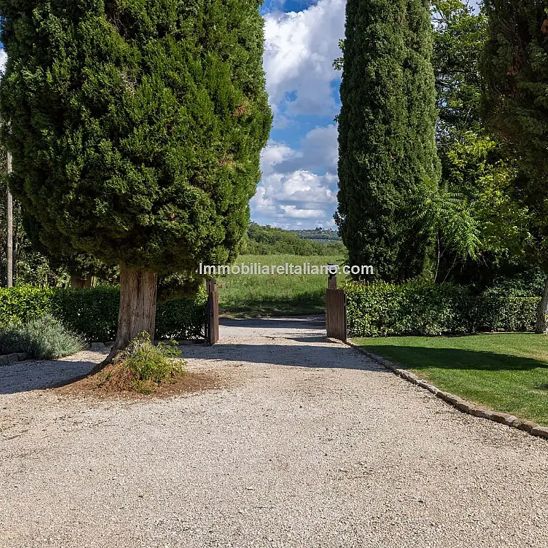 View image 9