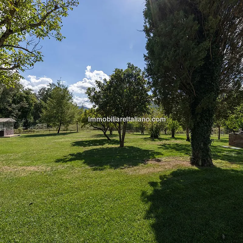 View image 11