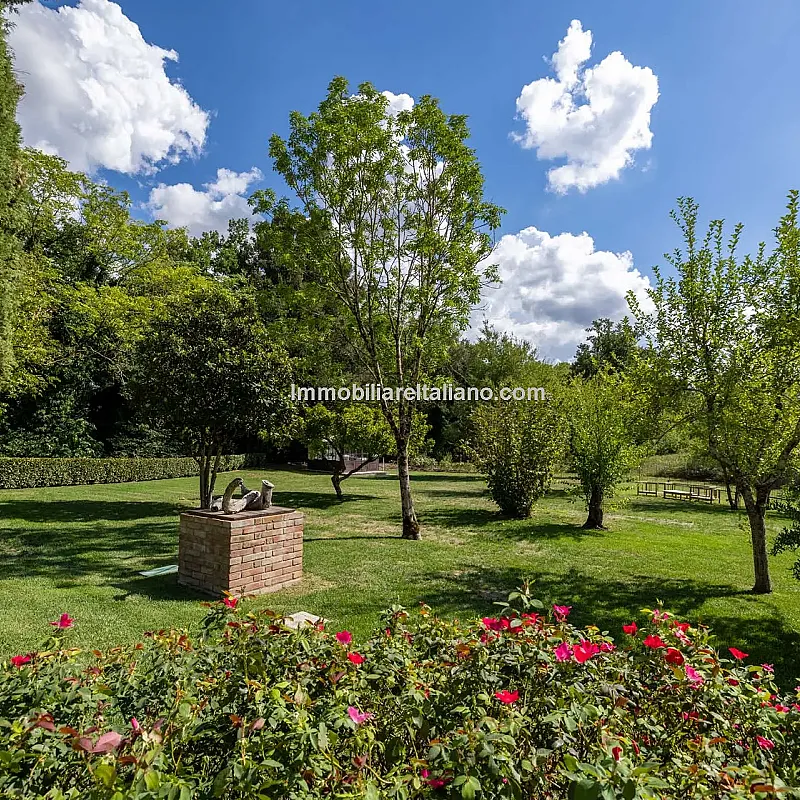 View image 12