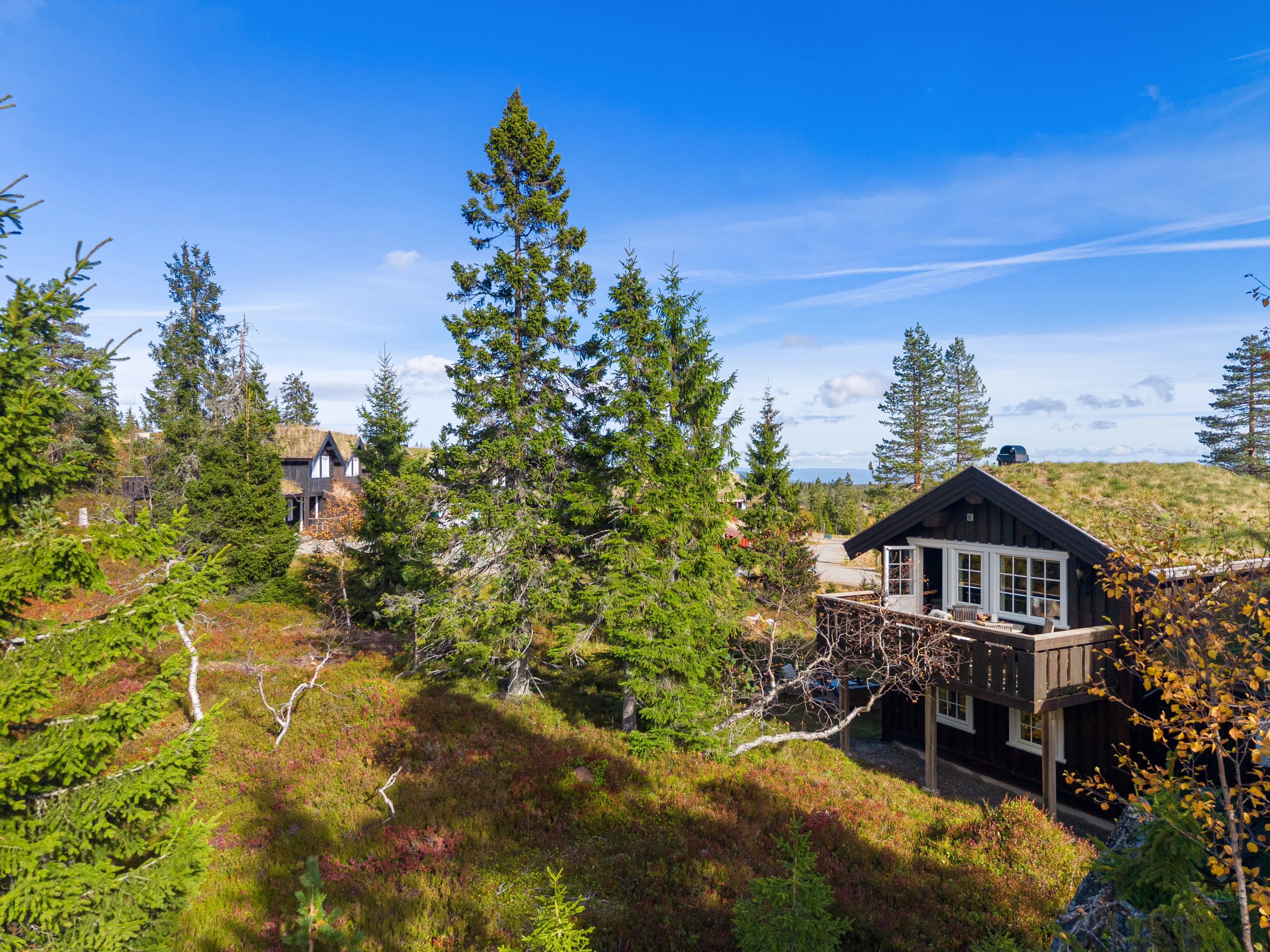 Modern 3-Bedroom Ski-in/Ski-out Cabin in Budor, Norway - View image 47 of 49