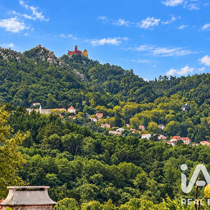 View image 7