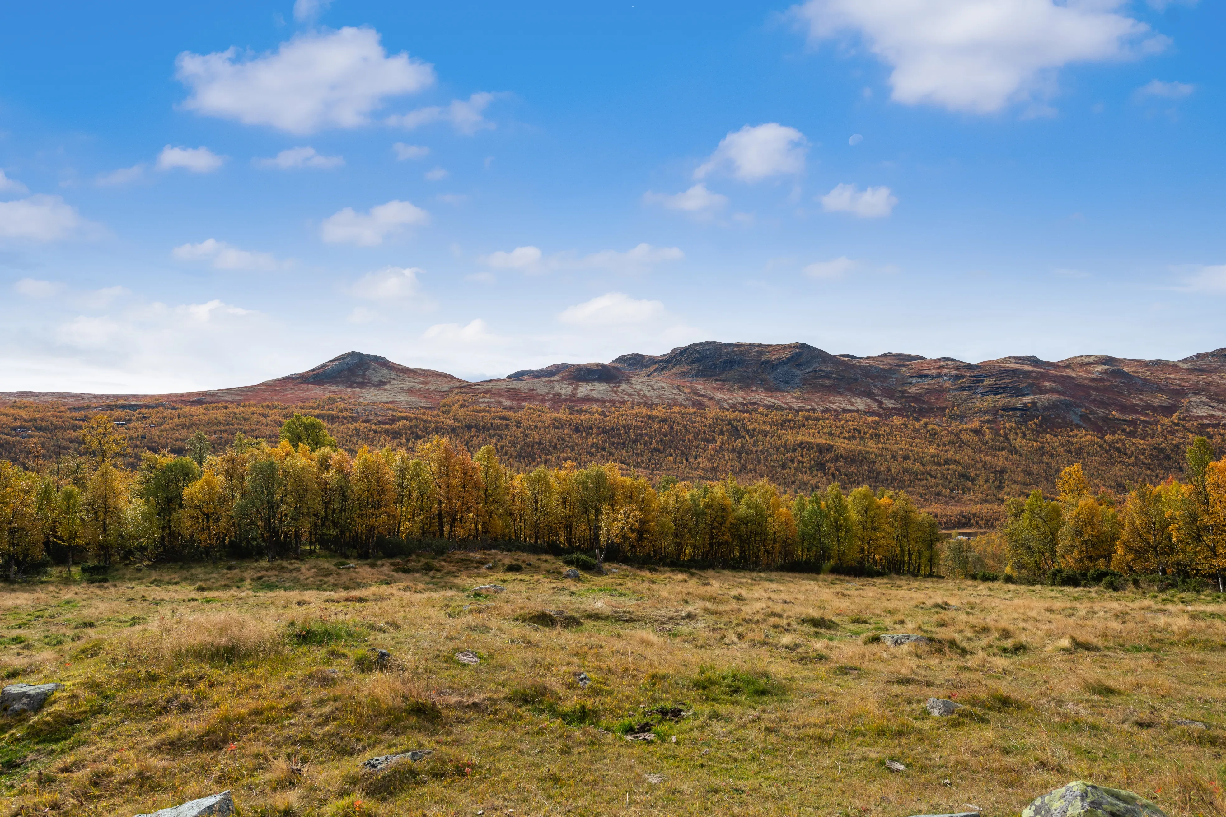 Cabana de meados do século com 3 quartos e aquecimento a lenha na pitoresca Uvdal, na Noruega - Ver imagem 34 de 44